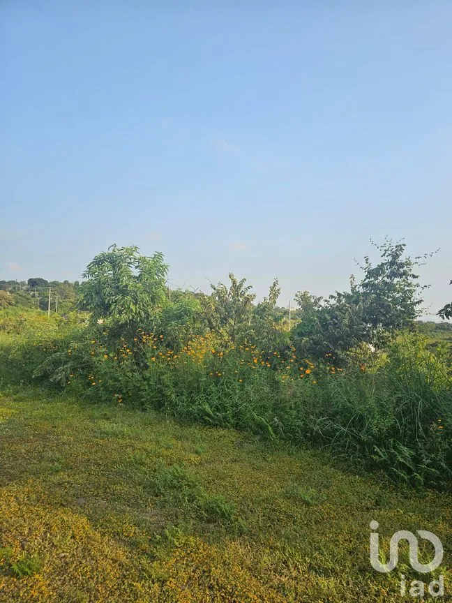Terreno en Venta en San Juan Texcalpan, Atlatlahucan, Morelos | NEX-283481 | iad México | Foto 4 de 7