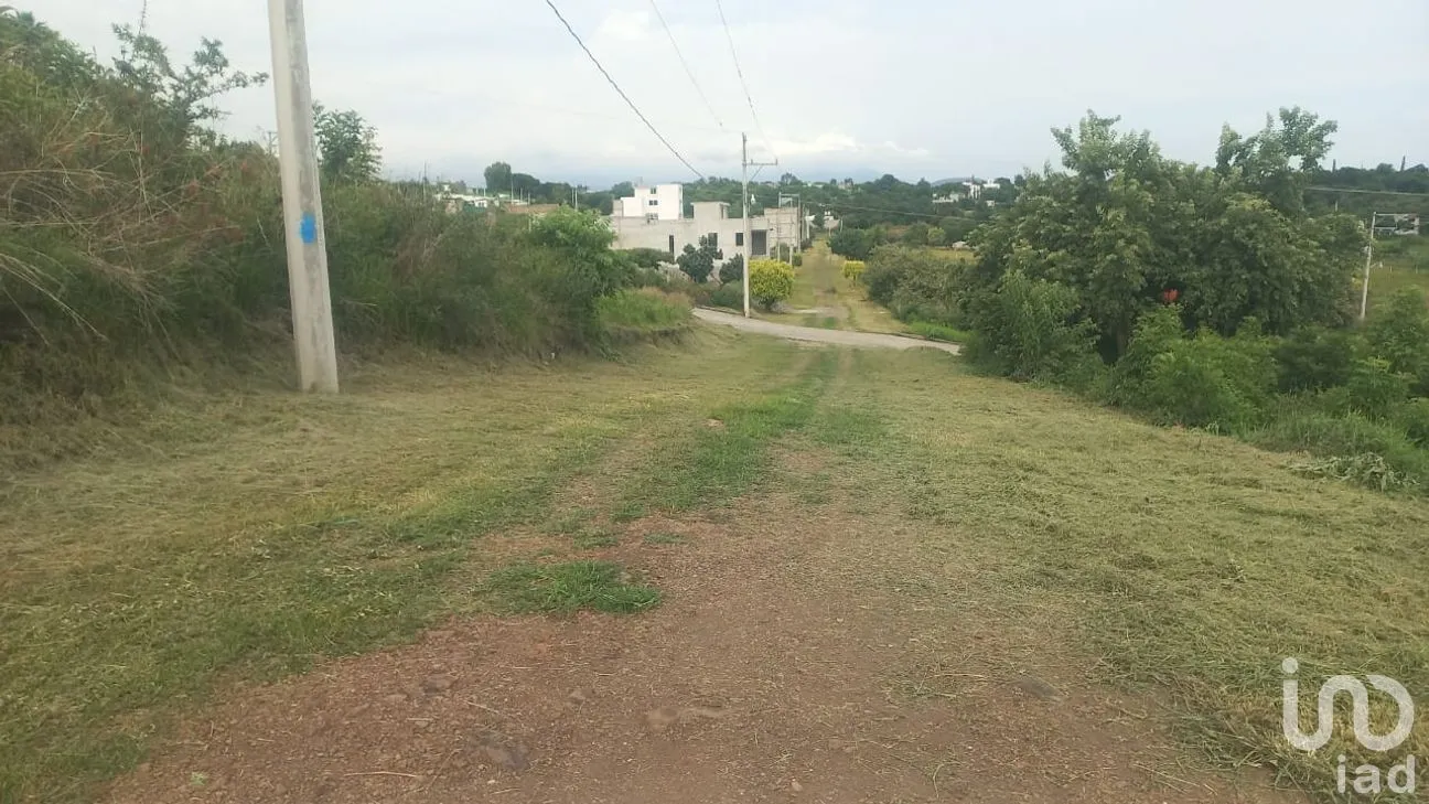 Terreno en Venta en San Juan Texcalpan, Atlatlahucan, Morelos | NEX-283481 | iad México | Foto 5 de 7