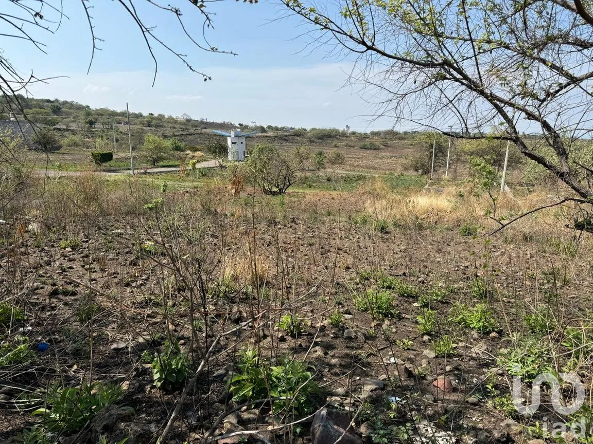 Terreno en Venta en San Juan Texcalpan, Atlatlahucan, Morelos | NEX-283481 | iad México | Foto 7 de 7