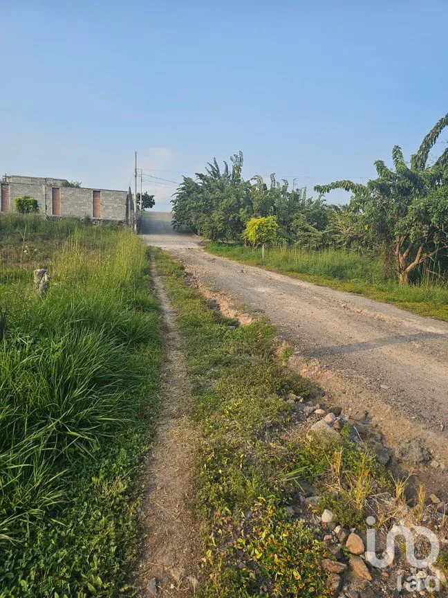 Terreno en Venta en San Juan Texcalpan, Atlatlahucan, Morelos | NEX-283481 | iad México | Foto 1 de 7