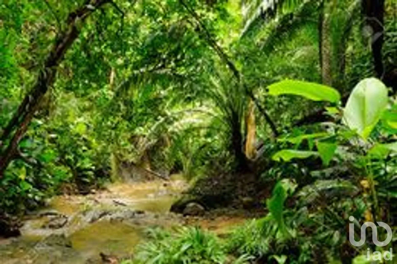 Terreno en Venta en Leona Vicario, Puerto Morelos, Quintana Roo | NEX-287191 | iad México | Foto 1 de 12