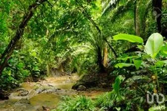 NEX-287191 - Terreno en Venta, con 2000 m2 de construcción en Leona Vicario, CP 77590, Quintana Roo.