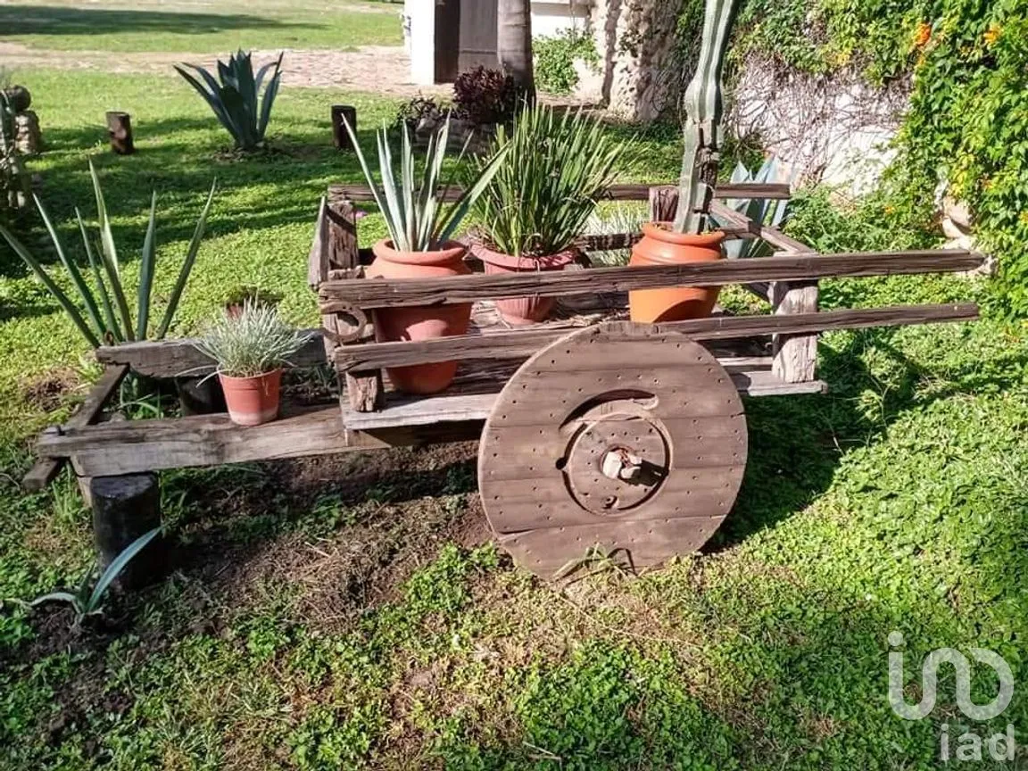 Rancho en Venta en Punta Nogal la Luz, León, Guanajuato | NEX-286816 | iad México | Foto 8 de 17