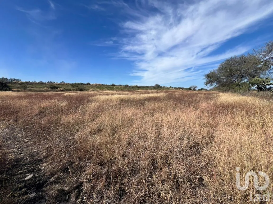 Terreno en Venta en Rancho Espinoza, Cuerámaro, Guanajuato | NEX-286878 | iad México | Foto 2 de 8
