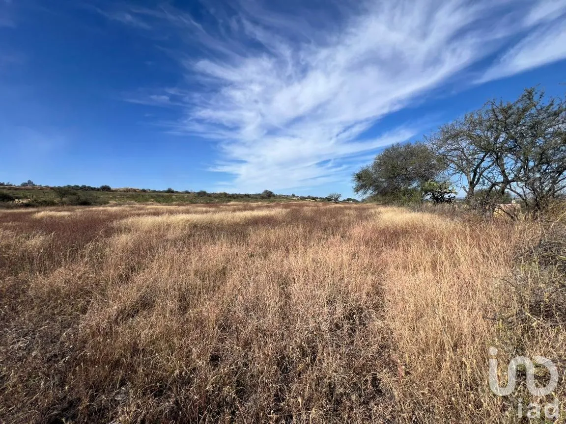Terreno en Venta en Rancho Espinoza, Cuerámaro, Guanajuato | NEX-286878 | iad México | Foto 3 de 8