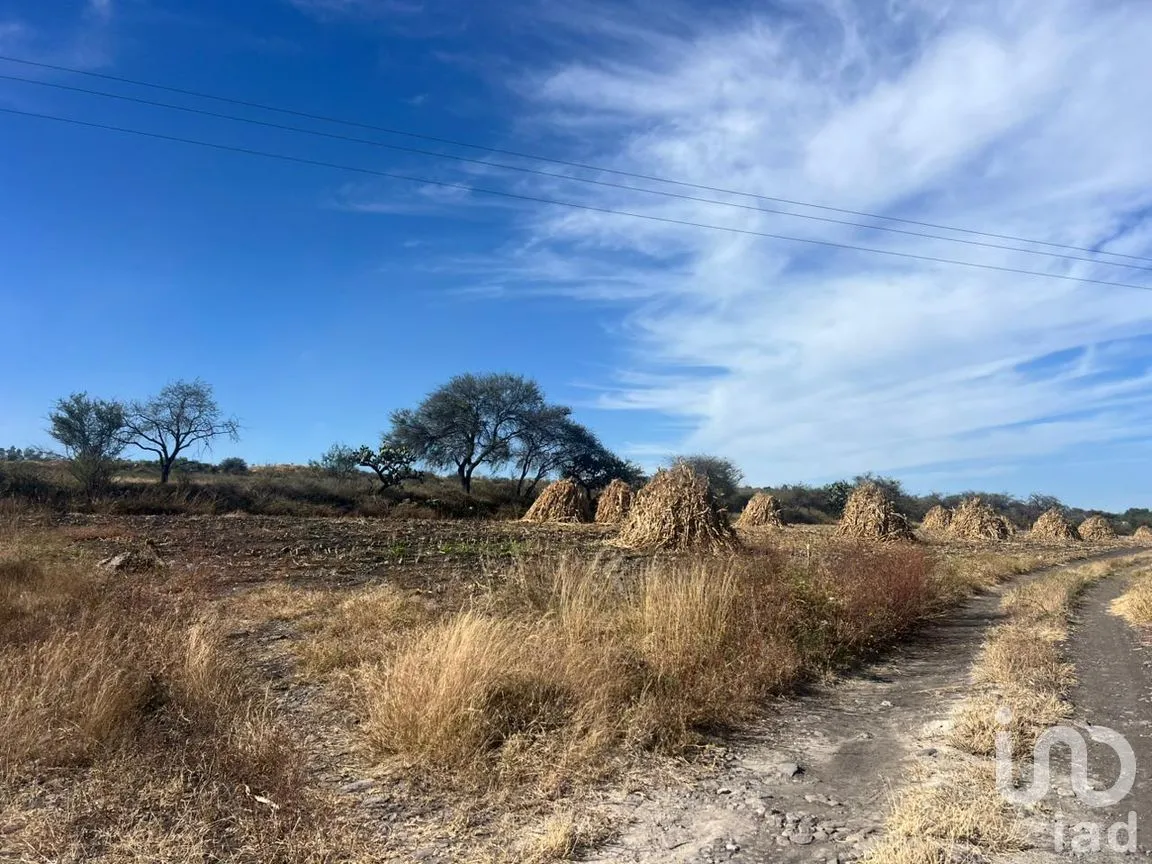 Terreno en Venta en Rancho Espinoza, Cuerámaro, Guanajuato | NEX-286878 | iad México | Foto 4 de 8