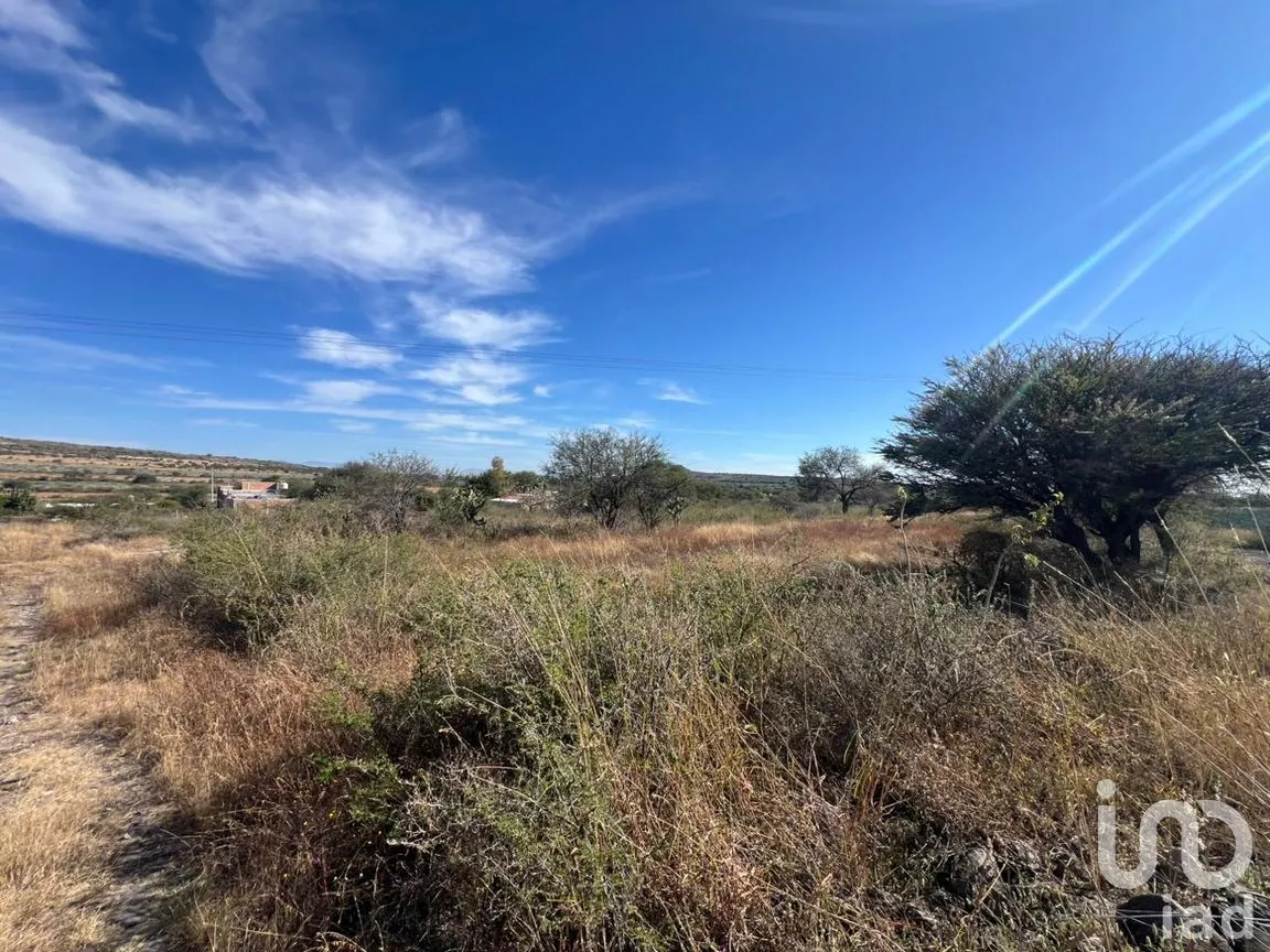 Terreno en Venta en Rancho Espinoza, Cuerámaro, Guanajuato | NEX-286878 | iad México | Foto 7 de 8
