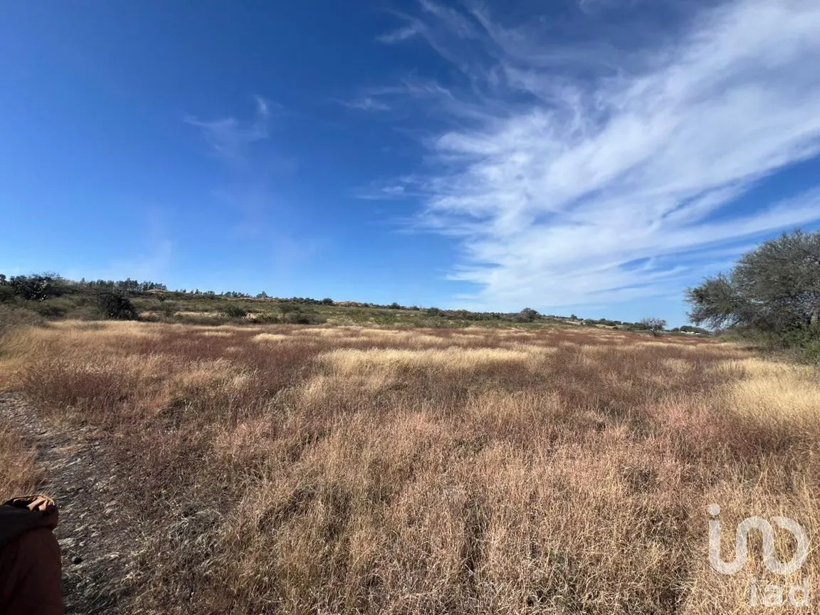 Terreno en Venta en Rancho Espinoza, Cuerámaro, Guanajuato | NEX-286878 | iad México | Foto 8 de 8