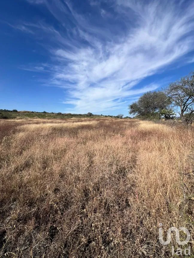 Terreno en Venta en Rancho Espinoza, Cuerámaro, Guanajuato | NEX-286878 | iad México | Foto 1 de 8