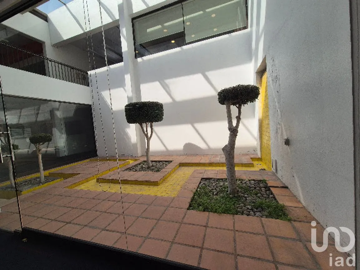 Local en Renta en La Concepción, Coyoacán, Ciudad de México | NEX-285811 | iad México | Foto 11 de 13
