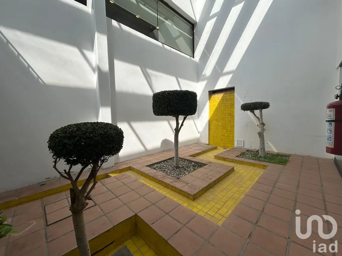 Local en Renta en La Concepción, Coyoacán, Ciudad de México | NEX-285811 | iad México | Foto 5 de 13