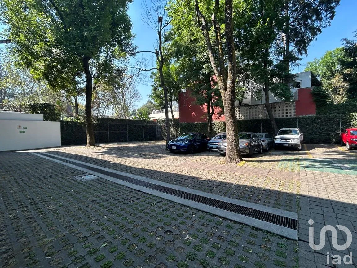 Local en Renta en La Concepción, Coyoacán, Ciudad de México | NEX-285811 | iad México | Foto 7 de 13
