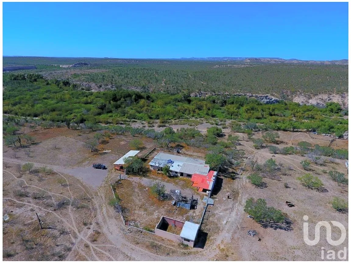 Rancho en Venta en Las Pocitas, La Paz, Baja California Sur | NEX-287619 | iad México | Foto 6 de 17