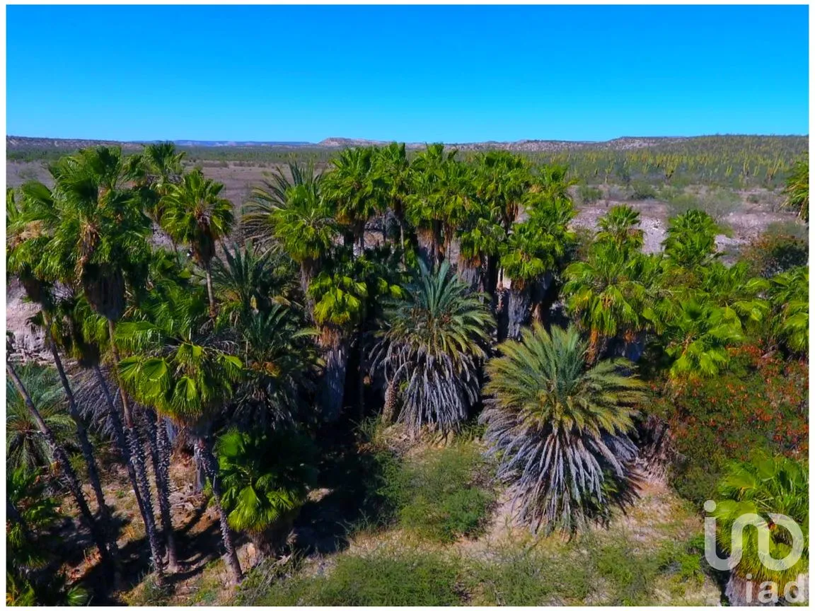 Rancho en Venta en Las Pocitas, La Paz, Baja California Sur | NEX-287619 | iad México | Foto 8 de 17