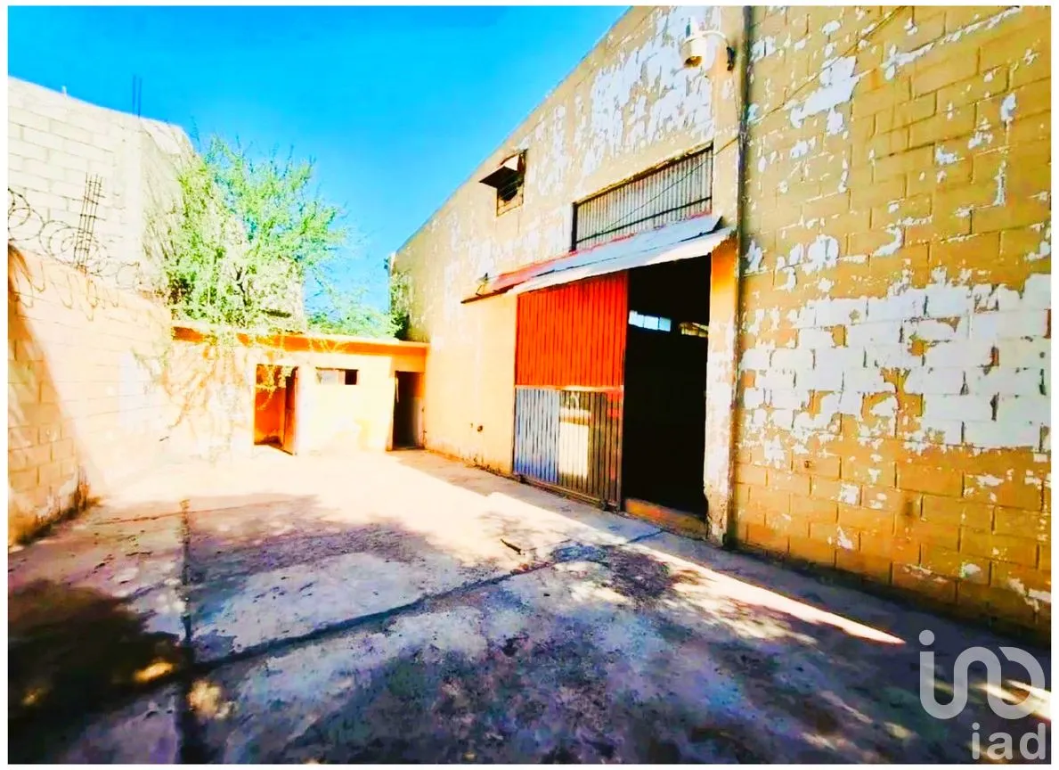 Bodega en Venta en Mezquitito, La Paz, Baja California Sur | NEX-292774 | iad México | Foto 7 de 11