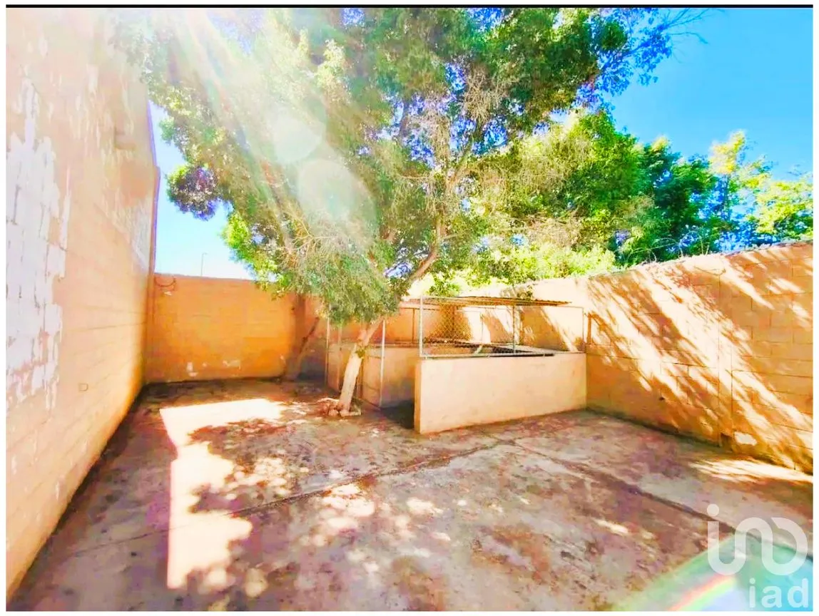 Bodega en Venta en Mezquitito, La Paz, Baja California Sur | NEX-292774 | iad México | Foto 8 de 11