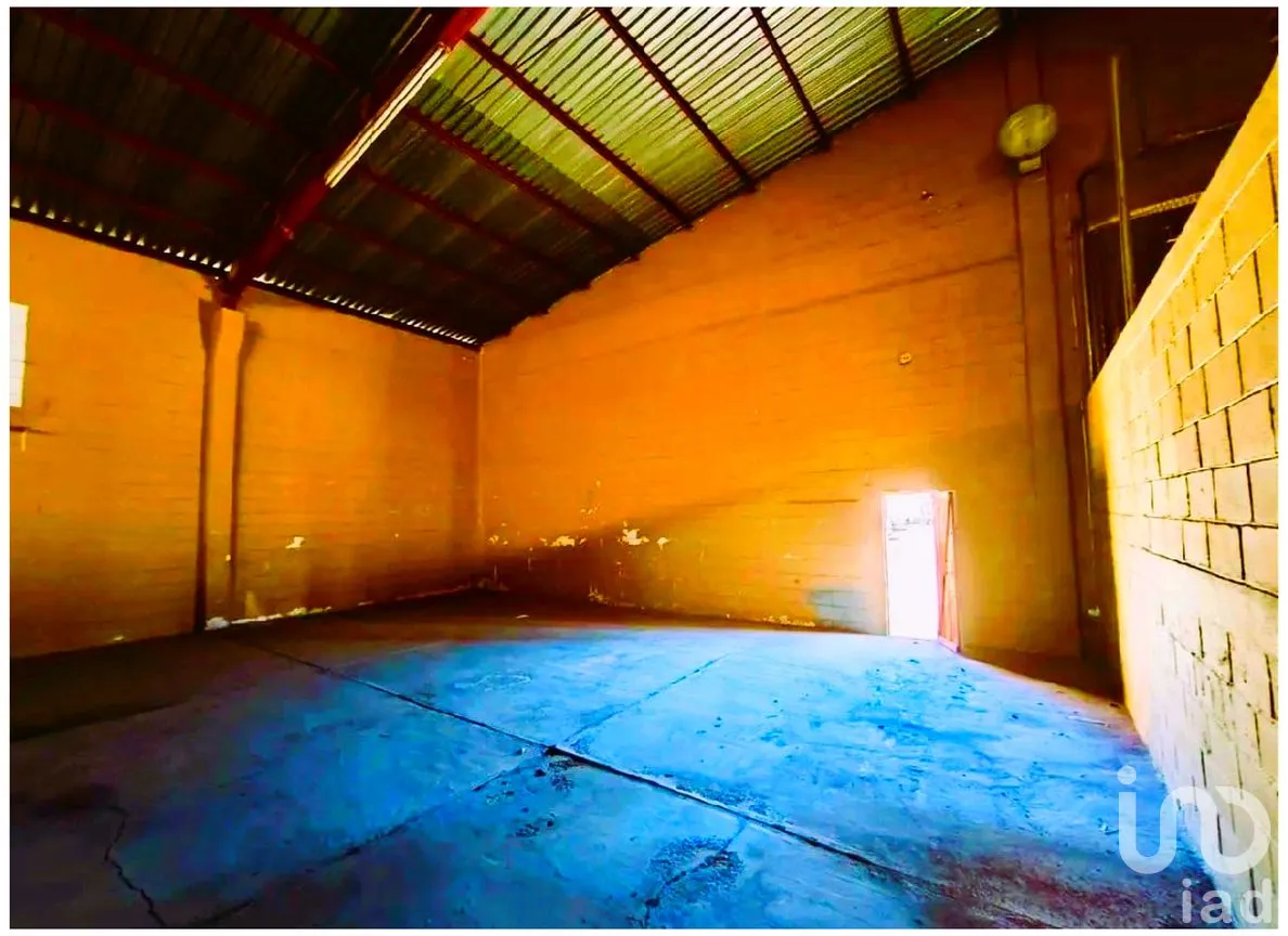 Bodega en Venta en Mezquitito, La Paz, Baja California Sur | NEX-292774 | iad México | Foto 10 de 11