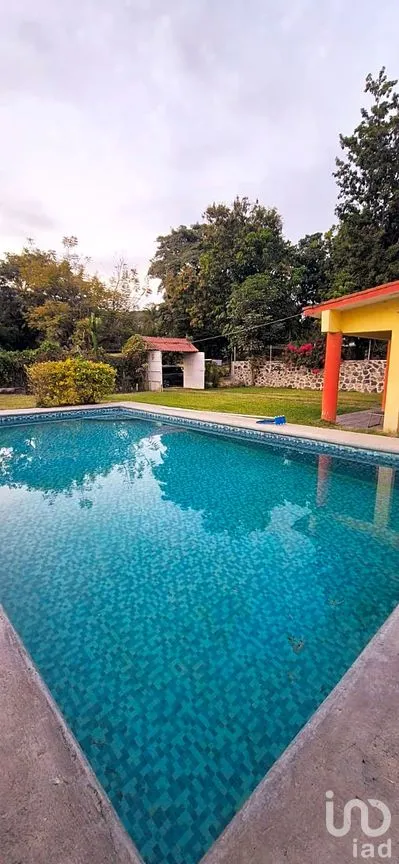 Casa en Renta en Ticumán, Tlaltizapán de Zapata, Morelos | NEX-289689 | iad México | Foto 6 de 16