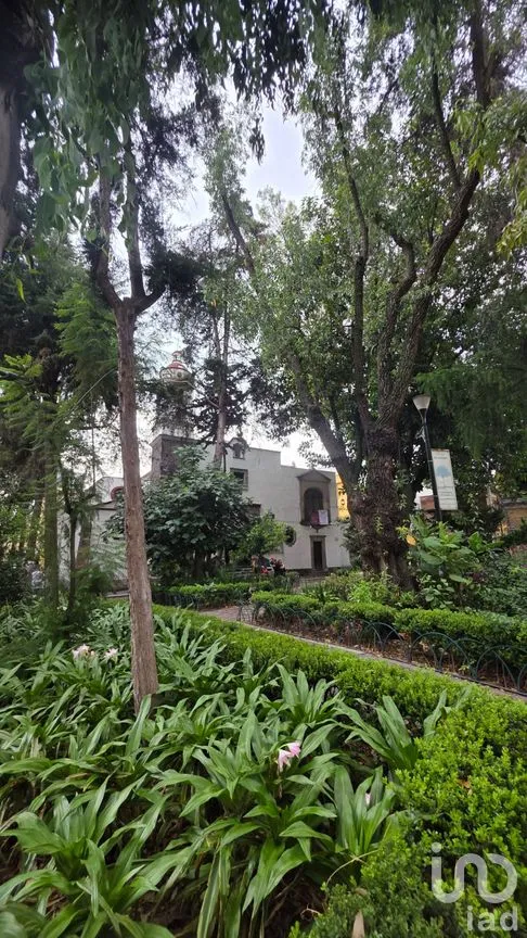 Departamento en Venta en Roma Norte, Cuauhtémoc, Ciudad de México | NEX-301037 | iad México | Foto 3 de 20