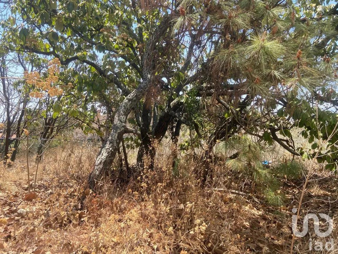 Terreno en Venta en El Palomar, Tlajomulco de Zúñiga, Jalisco | NEX-289737 | iad México | Foto 4 de 10