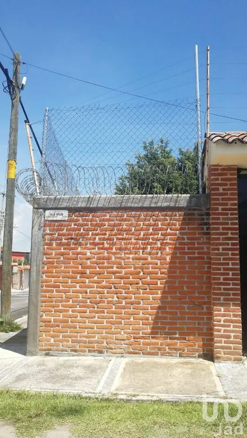 Terreno en Venta en Obrera Popular, Xochitepec, Morelos | NEX-20850 | iad México | Foto 4 de 6