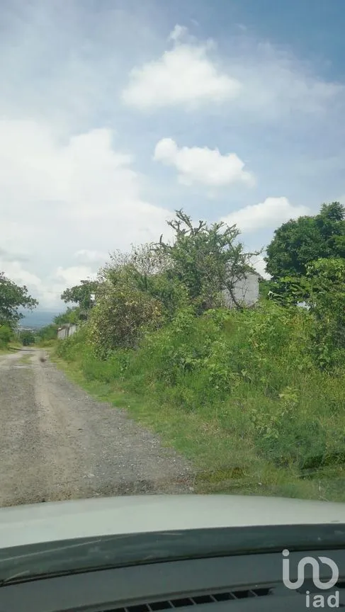 Terreno en Venta en Obrera Popular, Xochitepec, Morelos | NEX-20850 | iad México | Foto 5 de 6