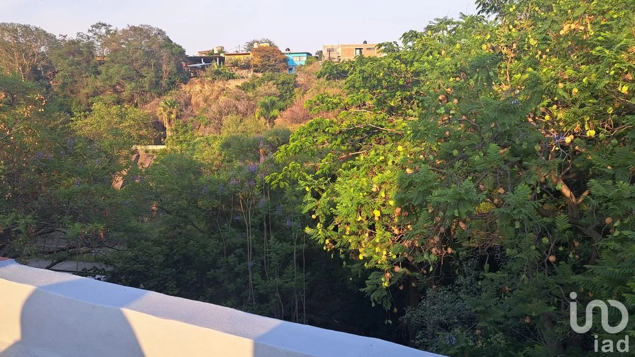 Casa en Renta en Chapultepec, Cuernavaca, Morelos | NEX-5585 | iad México | Foto 12 de 12