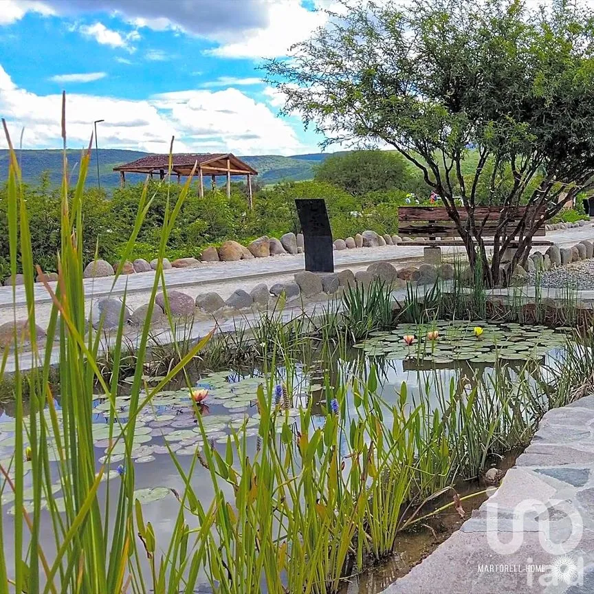 Terreno en Venta en Predio San Pedro, Comonfort, Guanajuato | NEX-295155 | iad México | Foto 4 de 6
