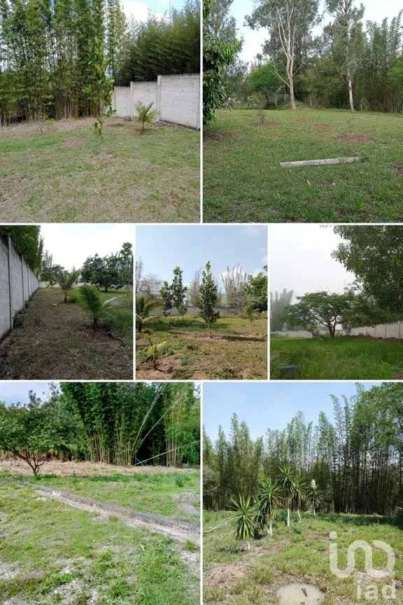 Terreno en Venta en Tres Pasos, Emiliano Zapata, Veracruz de Ignacio de la Llave | NEX-285297 | iad México | Foto 3 de 6