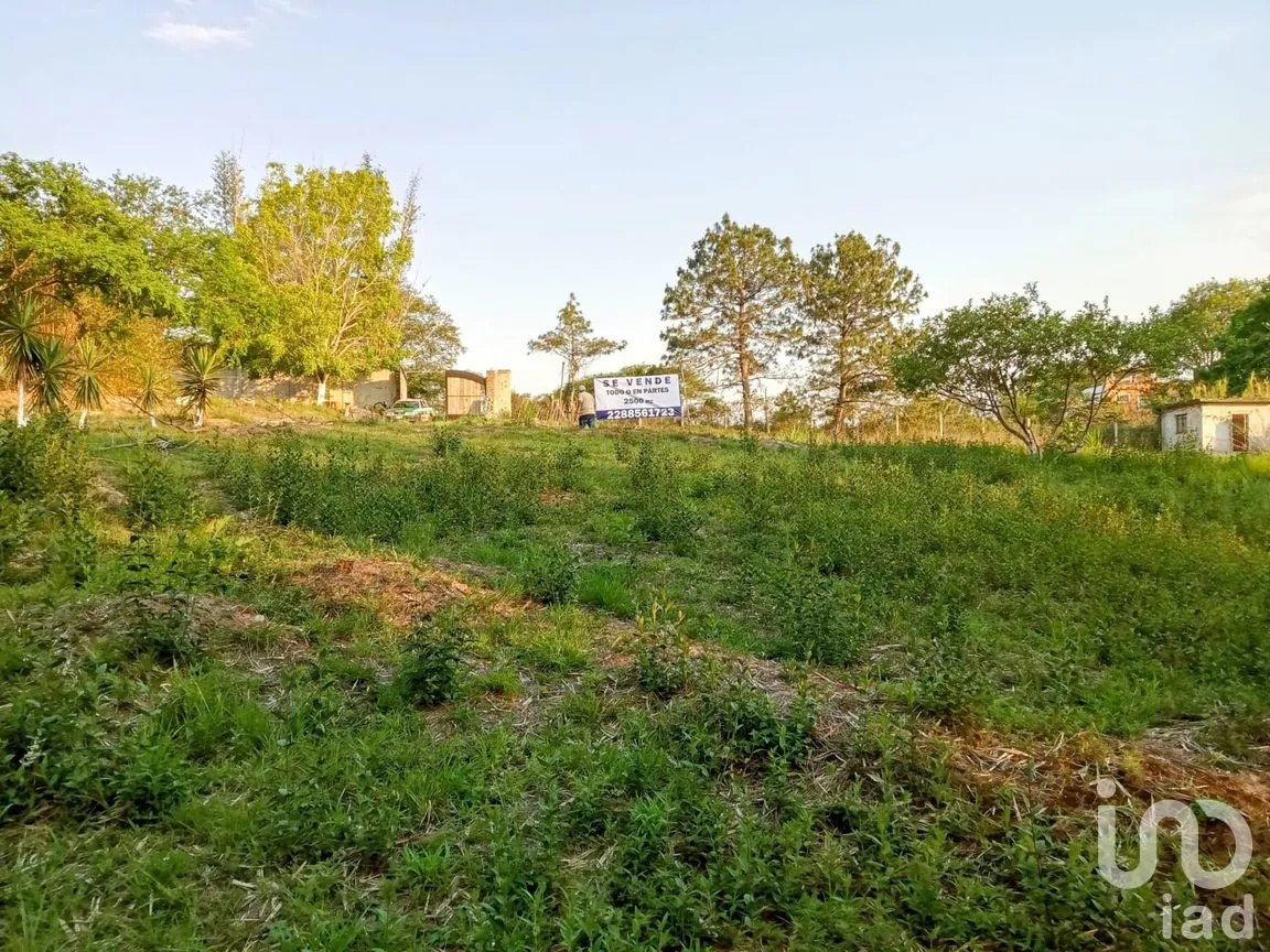 Terreno en Venta en Tres Pasos, Emiliano Zapata, Veracruz de Ignacio de la Llave | NEX-285297 | iad México | Foto 4 de 6