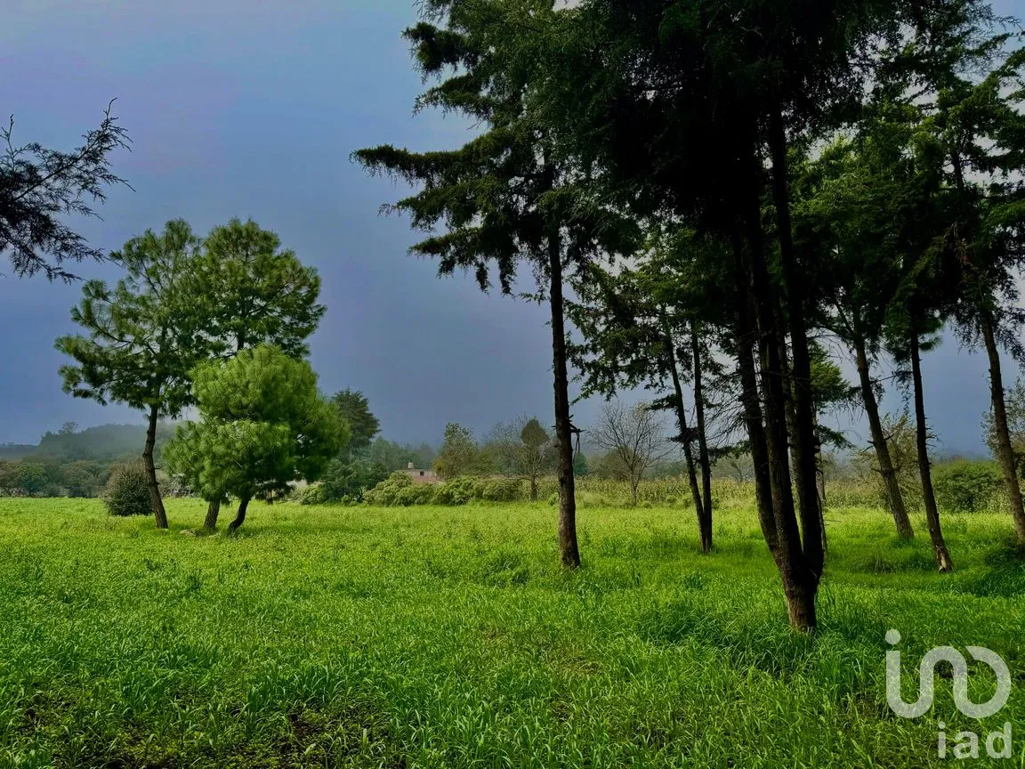 Terreno en Venta en Tres Pasos, Emiliano Zapata, Veracruz de Ignacio de la Llave | NEX-285297 | iad México | Foto 5 de 6