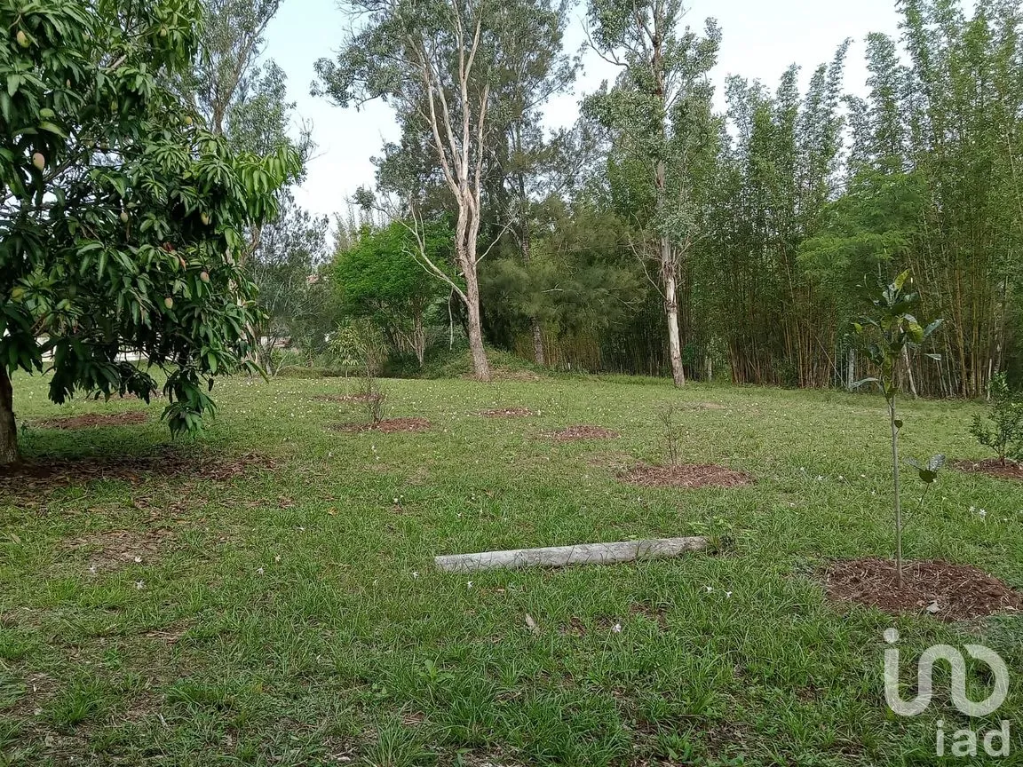 Terreno en Venta en Tres Pasos, Emiliano Zapata, Veracruz de Ignacio de la Llave | NEX-285297 | iad México | Foto 6 de 6