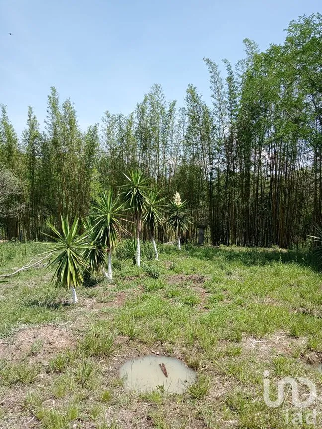Terreno en Venta en Tres Pasos, Emiliano Zapata, Veracruz de Ignacio de la Llave | NEX-285297 | iad México | Foto 1 de 6