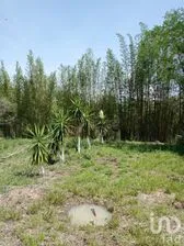 NEX-285297 - Terreno en Venta en Tres Pasos, CP 91643, Veracruz de Ignacio de la Llave.