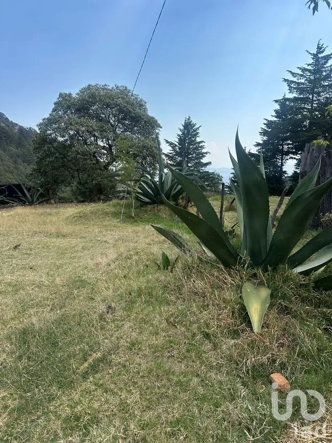 Terreno en Venta en El Oro de Hidalgo, El Oro, México | NEX-298572 | iad México | Foto 5 de 11