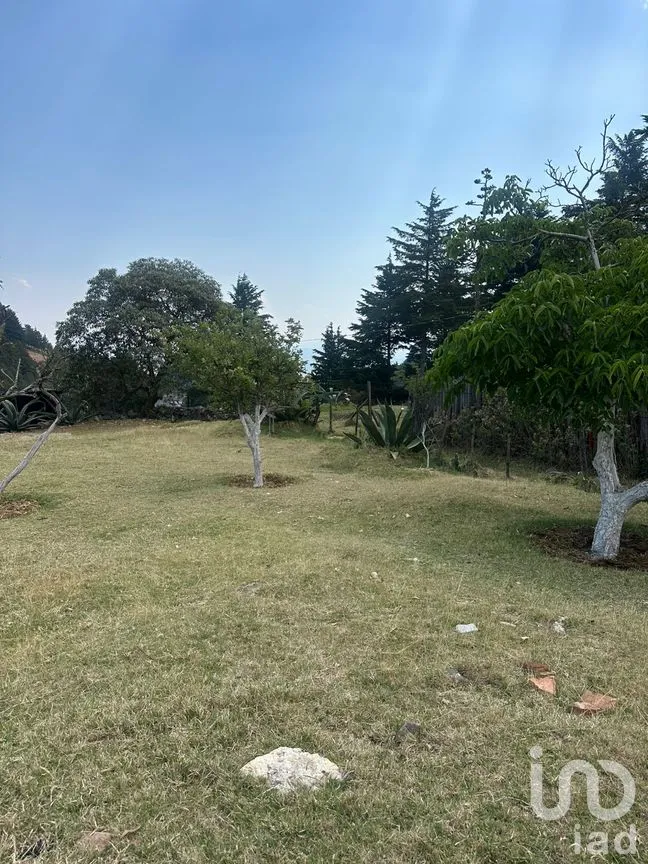 Terreno en Venta en El Oro de Hidalgo, El Oro, México | NEX-298572 | iad México | Foto 9 de 11