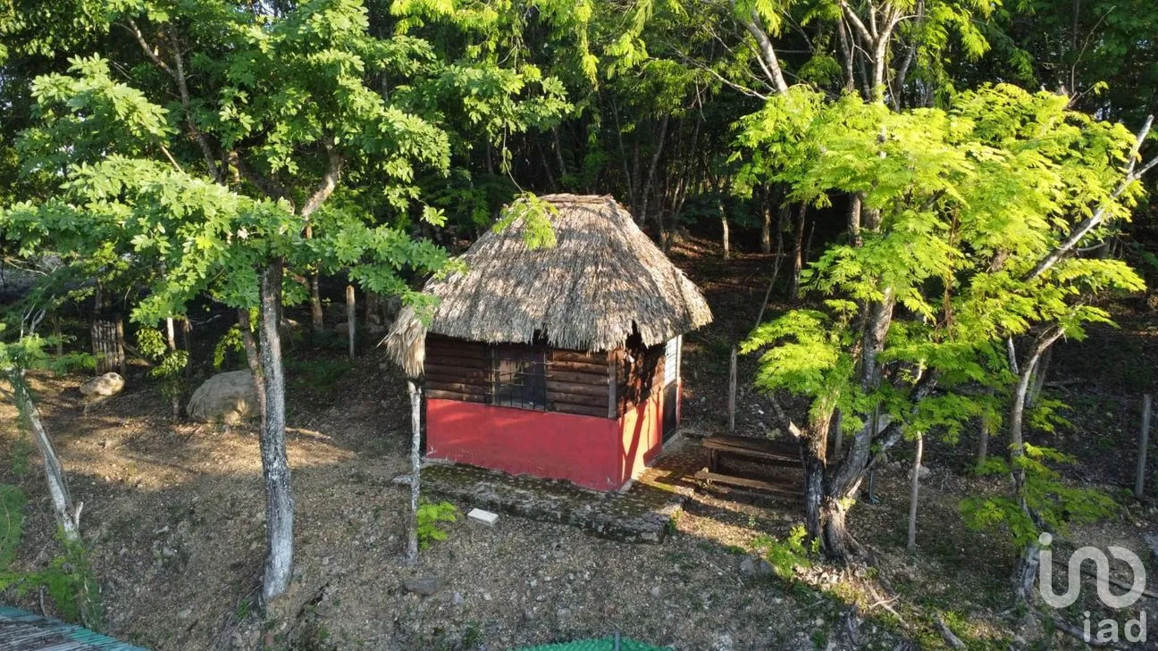 Terreno en Venta en Miguel Colorado, Champotón, Campeche | NEX-286309 | iad México | Foto 8 de 13