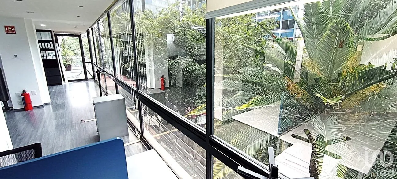 Oficina en Renta en Polanco V Sección, Miguel Hidalgo, Ciudad de México | NEX-286898 | iad México | Foto 3 de 15