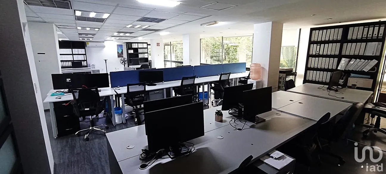Oficina en Renta en Polanco V Sección, Miguel Hidalgo, Ciudad de México | NEX-286898 | iad México | Foto 4 de 15