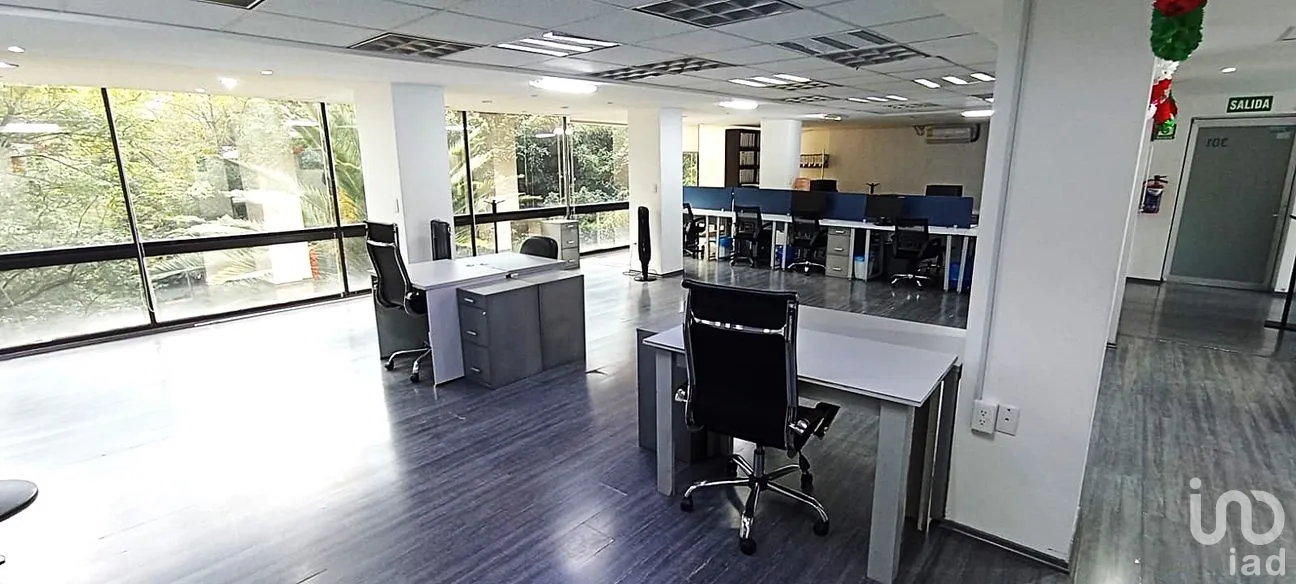Oficina en Renta en Polanco V Sección, Miguel Hidalgo, Ciudad de México | NEX-286898 | iad México | Foto 5 de 15
