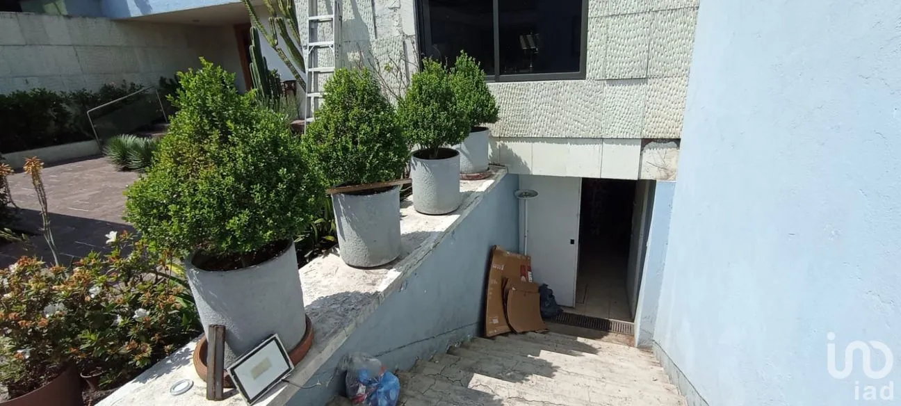 Casa en Venta en Jardines del Pedregal, Álvaro Obregón, Ciudad de México | NEX-295850 | iad México | Foto 19 de 20