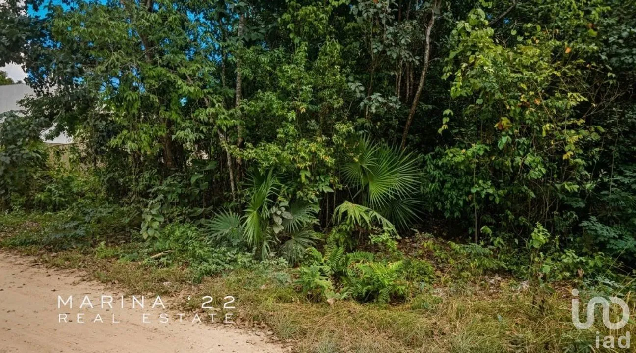 Terreno en Venta en Alfredo V Bonfil, Benito Juárez, Quintana Roo | NEX-291051 | iad México | Foto 2 de 13