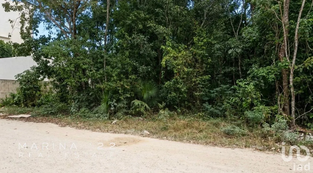 Terreno en Venta en Alfredo V Bonfil, Benito Juárez, Quintana Roo | NEX-291051 | iad México | Foto 3 de 13