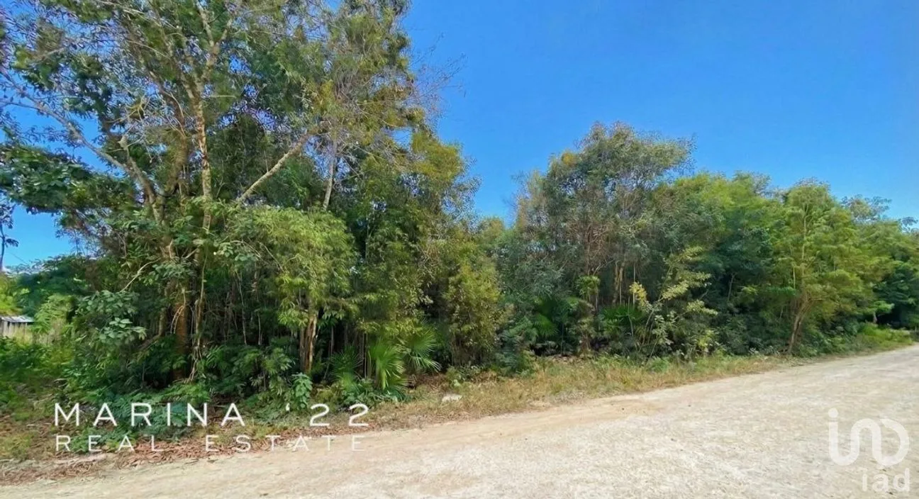 Terreno en Venta en Alfredo V Bonfil, Benito Juárez, Quintana Roo | NEX-291051 | iad México | Foto 4 de 13