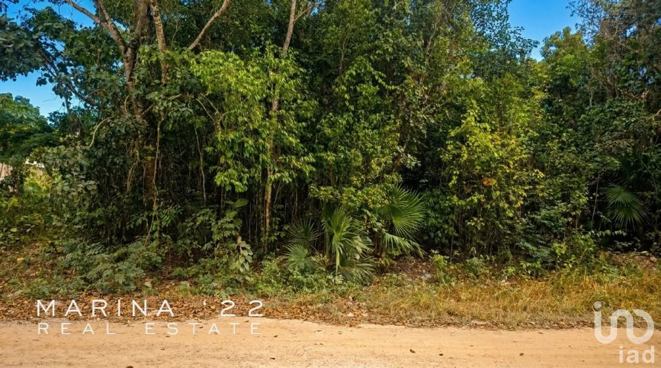 Terreno en Venta en Alfredo V Bonfil, Benito Juárez, Quintana Roo | NEX-291051 | iad México | Foto 1 de 13