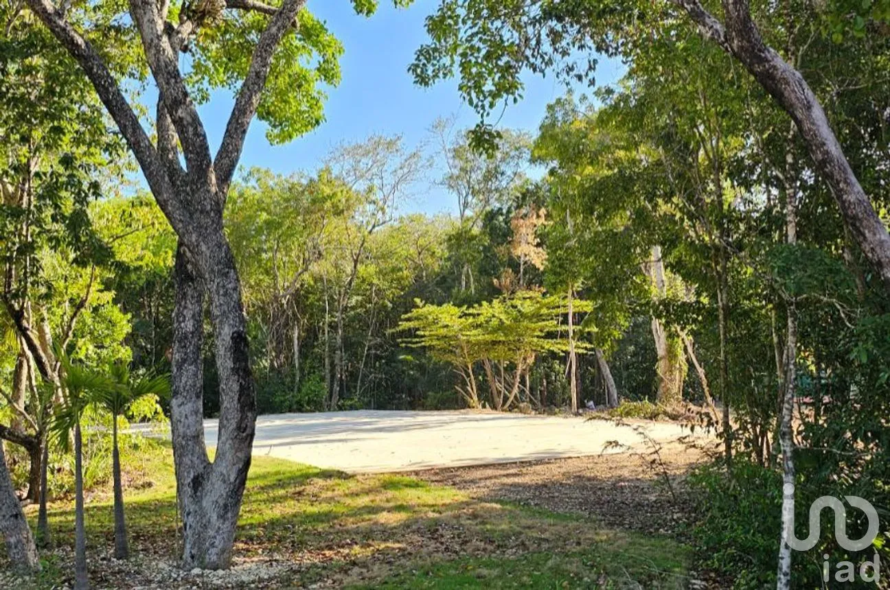 Casa en Venta en Tulum Centro, Tulum, Quintana Roo | NEX-299647 | iad México | Foto 12 de 13