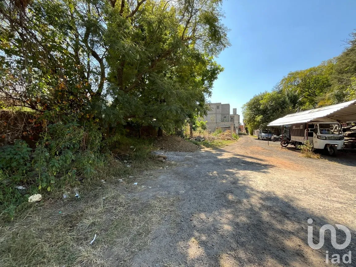 Terreno en Venta en San Gabriel Cuauhtla, Tlaxcala, Tlaxcala | NEX-287744 | iad México | Foto 8 de 8