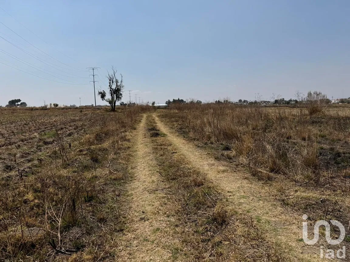 Terreno en Venta en Santa Catarina Ayometla, Santa Catarina Ayometla, Tlaxcala | NEX-291667 | iad México | Foto 7 de 13