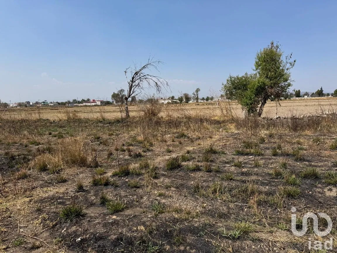 Terreno en Venta en Santa Catarina Ayometla, Santa Catarina Ayometla, Tlaxcala | NEX-291667 | iad México | Foto 8 de 13