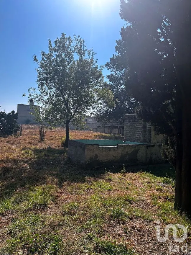 Terreno en Venta en Santa Rosa, Chicoloapan, México | NEX-287781 | iad México | Foto 4 de 7